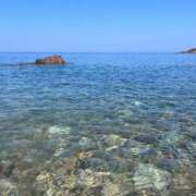 ヒメ日記 2025/08/20 07:19 投稿 岸本いくみ 月の真珠-五反田-