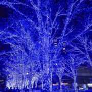 ヒメ日記 2025/12/25 09:00 投稿 岸本いくみ 月の真珠-五反田-