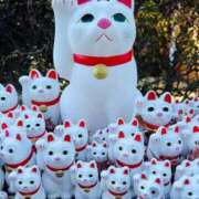 ヒメ日記 2026/01/01 11:00 投稿 岸本いくみ 月の真珠-五反田-