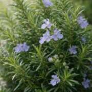 ヒメ日記 2026/03/09 12:05 投稿 岸本いくみ 月の真珠-五反田-