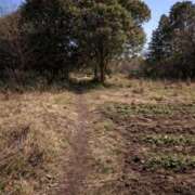 ヒメ日記 2026/03/17 18:40 投稿 岸本いくみ 月の真珠-五反田-