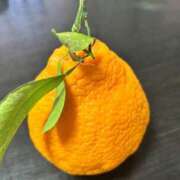 ヒメ日記 2026/03/26 12:12 投稿 えま☆現役保育士のアルバイト♪ ポポロン☆広島