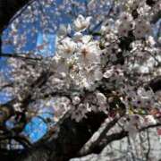 えま☆現役保育士のアルバイト♪ 🎧🌸 ポポロン☆広島