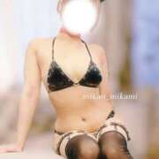 三上みかん 今月もよろしくです^.,.^ฅ マダムと紳士