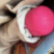 ヒメ日記 2025/04/16 09:02 投稿 めんま ここ恋