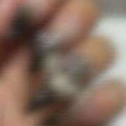 ヒメ日記 2025/09/25 21:32 投稿 めんま ここ恋