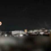 ヒメ日記 2025/10/27 09:23 投稿 めんま ここ恋