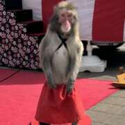 ヒメ日記 2026/04/19 21:41 投稿 めんま ここ恋