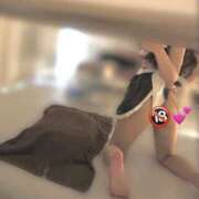 ヒメ日記 2025/11/24 05:37 投稿 もも Tokyo fairy land-東京フェアリーランド-