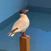 ヒメ日記 2025/05/12 21:27 投稿 あり マリン宮殿雄琴店