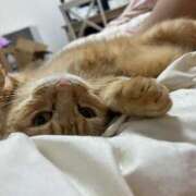 ヒメ日記 2025/08/25 00:21 投稿 あり マリン宮殿雄琴店