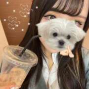 ヒメ日記 2026/01/21 17:25 投稿 ひなの 渋谷平成女学園