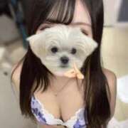 ヒメ日記 2026/02/15 19:23 投稿 ひなの 渋谷平成女学園