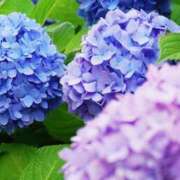 ヒメ日記 2025/06/11 19:41 投稿 みつき 僕らのぽっちゃリーノin野田