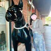 ヒメ日記 2024/12/27 06:17 投稿 なつめ 横浜回春性感マッサージ倶楽部