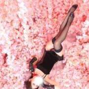 ヒメ日記 2026/03/03 06:47 投稿 なつめ 横浜回春性感マッサージ倶楽部