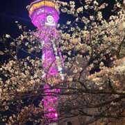 ヒメ日記 2025/04/10 22:22 投稿 霧島ゆい ニューハーフヘルスLIBE大阪梅田店