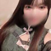 ヒメ日記 2025/03/08 12:20 投稿 ネル 石庭