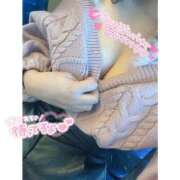 ヒメ日記 2025/04/04 22:20 投稿 ネル 石庭