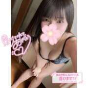 ヒメ日記 2025/04/05 00:01 投稿 ネル 石庭