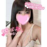 ヒメ日記 2025/04/05 09:50 投稿 ネル 石庭