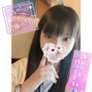 ヒメ日記 2025/04/06 00:20 投稿 ネル 石庭