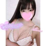 ヒメ日記 2025/04/06 09:50 投稿 ネル 石庭