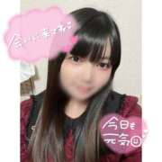 ヒメ日記 2025/04/07 10:31 投稿 ネル 石庭