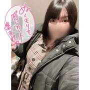 ヒメ日記 2025/05/21 08:20 投稿 ネル 石庭