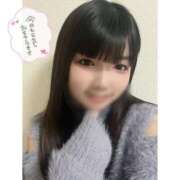 ヒメ日記 2025/06/09 09:04 投稿 ネル 石庭