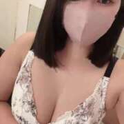 ヒメ日記 2025/06/10 11:50 投稿 ネル 石庭