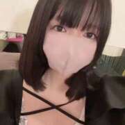 ヒメ日記 2025/08/19 12:01 投稿 ネル 石庭