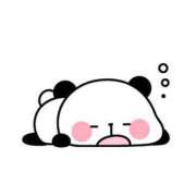 ヒメ日記 2025/08/20 02:10 投稿 ネル 石庭