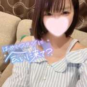 ヒメ日記 2025/08/23 11:20 投稿 ネル 石庭