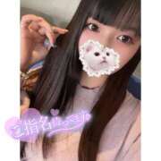 ヒメ日記 2025/09/25 23:20 投稿 ネル 石庭