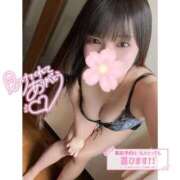 ヒメ日記 2025/09/26 00:20 投稿 ネル 石庭