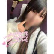 ヒメ日記 2025/10/01 10:50 投稿 ネル 石庭