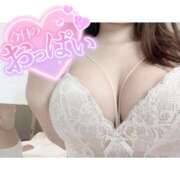 ヒメ日記 2025/10/01 15:20 投稿 ネル 石庭