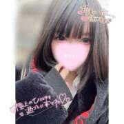 ヒメ日記 2026/02/17 17:20 投稿 ネル 石庭