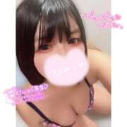 ヒメ日記 2026/02/19 12:32 投稿 ネル 石庭