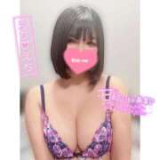 ヒメ日記 2026/02/19 17:50 投稿 ネル 石庭