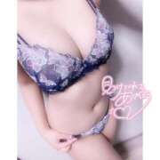 ヒメ日記 2026/02/21 15:10 投稿 ネル 石庭