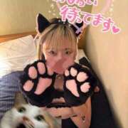 ヒメ日記 2025/11/16 06:15 投稿 りえる 帯広アニバーサリー