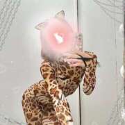 ヒメ日記 2025/04/02 00:52 投稿 絢斗 倶楽部 月兎