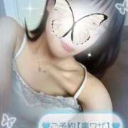 ヒメ日記 2025/08/09 08:02 投稿 絢斗 倶楽部 月兎