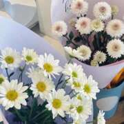 ヒメ日記 2024/12/31 00:21 投稿 あど 川越ぷよステーション