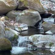 ヒメ日記 2025/03/14 15:43 投稿 あど 川越ぷよステーション