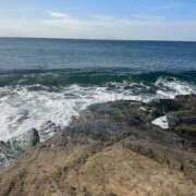 ヒメ日記 2025/03/21 13:47 投稿 あど 川越ぷよステーション