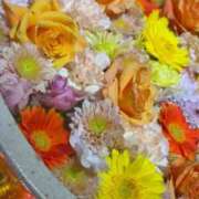 ヒメ日記 2025/12/30 17:03 投稿 あど 川越ぷよステーション