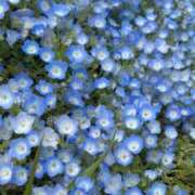 ヒメ日記 2026/04/17 10:34 投稿 あど 川越ぷよステーション